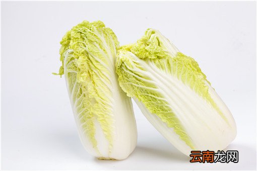 今日白菜价格多少钱一斤？近期韩国白菜价格暴涨原因是什么？