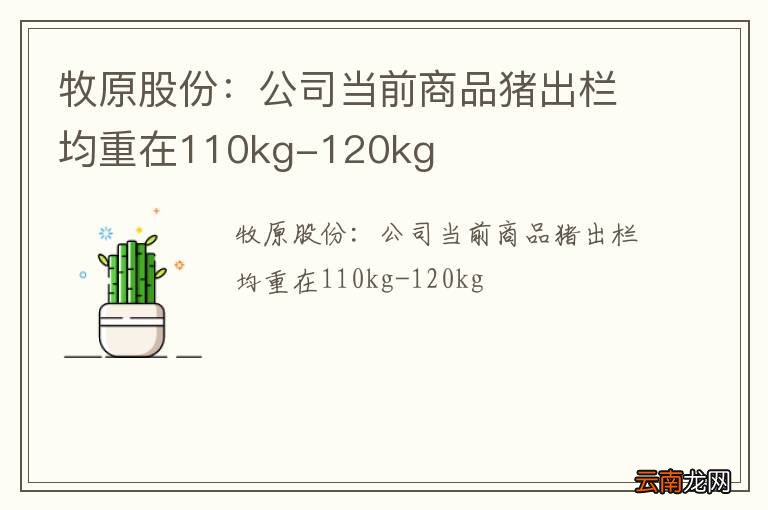 牧原股份：公司当前商品猪出栏均重在110kg-120kg