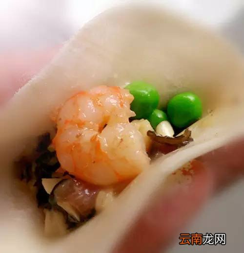 不同饺子馅的做法 多款美味饺子馅制作
