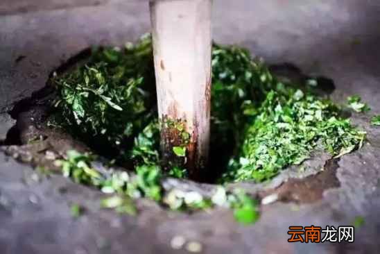 艾草的功效及食用方法 艾草的药用功效介绍