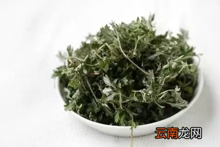 艾草的功效及食用方法 艾草的药用功效介绍