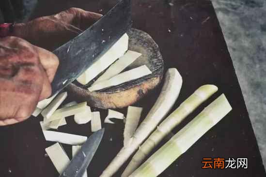 鲜竹笋怎么做好吃 错过又要等一年