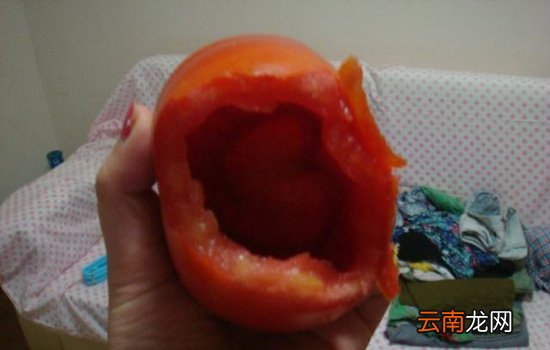 西红柿空心能吃吗 空心西红柿只是口感不太好