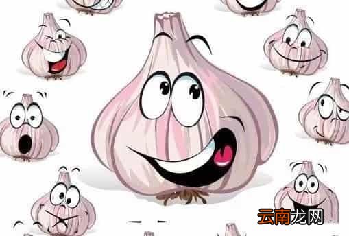 吃大蒜有什么好处 这七大好处你可知道