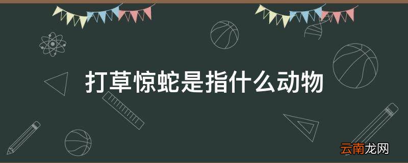 打草惊蛇是指什么动物