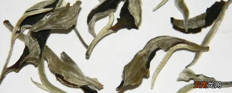 月光白和白毫银针区别