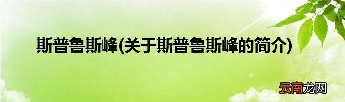 关于斯普鲁斯峰的简介 斯普鲁斯峰