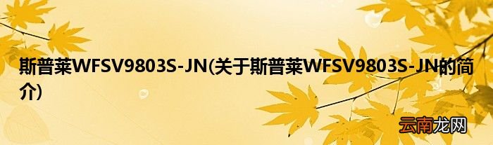 关于斯普莱WFSV9803S-JN的简介 斯普莱WFSV9803S-JN
