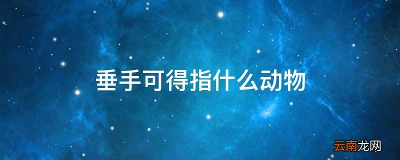 垂手可得指什么动物