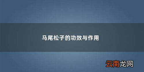 马尾松松子能吃吗 马尾松子的功效与作用