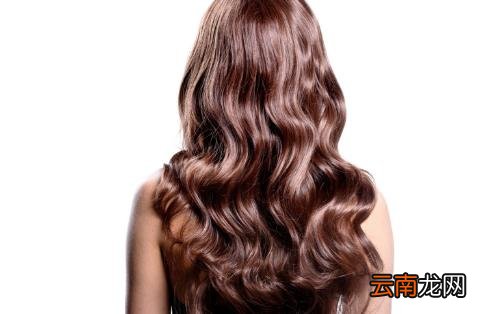 头发反应你的身体健康状况 能保养头发的食物