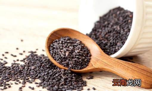 头发反应你的身体健康状况 能保养头发的食物