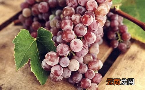 肝肾阴虚吃什么食物好 肝肾阴虚多吃这些食物