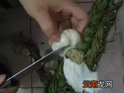 糖蒜的腌制方法 糖蒜怎么腌制好吃