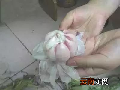 糖蒜的腌制方法 糖蒜怎么腌制好吃