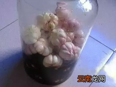 糖蒜的腌制方法 糖蒜怎么腌制好吃