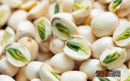 引起睡眠障碍的原因 利于睡眠的8种食物