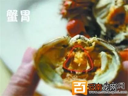 吃水产海鲜的注意了，这些部位不能吃