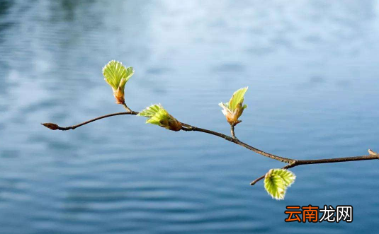 躲春是一天都不能见个别生肖的人吗-躲春一天都不能见相冲生肖吗