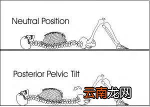 锻炼腰背的动作 避免腰背痛的简单运动
