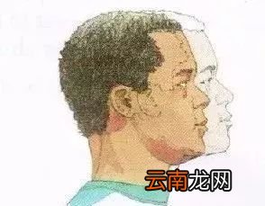 锻炼腰背的动作 避免腰背痛的简单运动