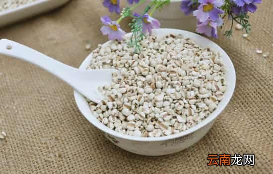 薏米可以治扁平疣吗 薏米治疗扁平疣的方法