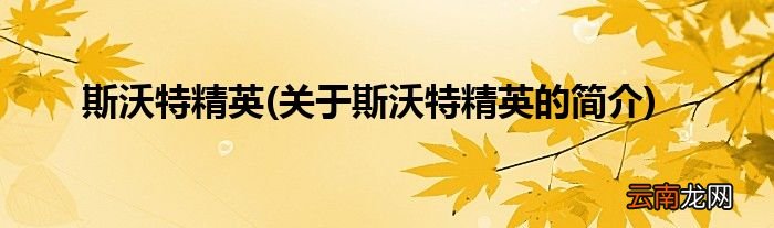 关于斯沃特精英的简介 斯沃特精英