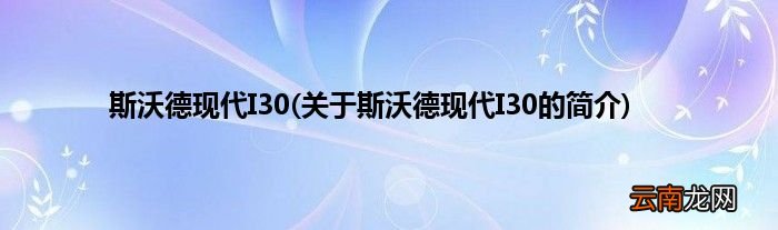 关于斯沃德现代I30的简介 斯沃德现代I30