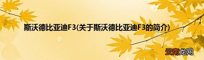 关于斯沃德比亚迪F3的简介 斯沃德比亚迪F3
