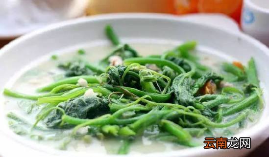 南瓜藤的功效与吃法 南瓜藤竟有这么多好处