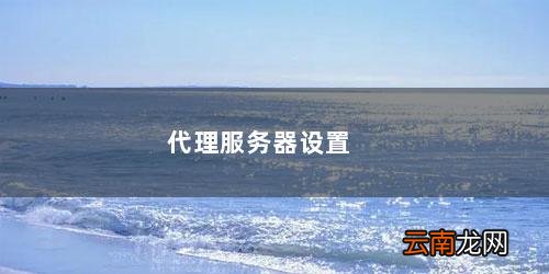 switch代理服务器设置 代理服务器设置