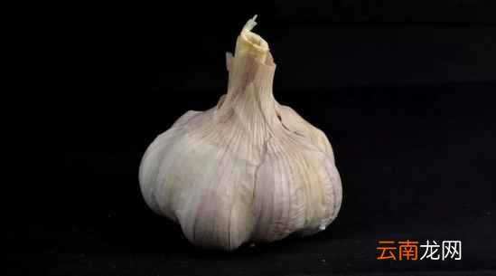 蔬菜发芽还能吃吗 大蒜发芽竟还有奇效