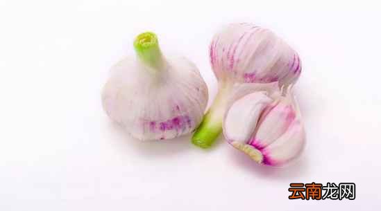 蔬菜发芽还能吃吗 大蒜发芽竟还有奇效