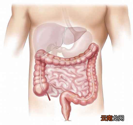 起床后喝一杯水 一杯温开水最养人