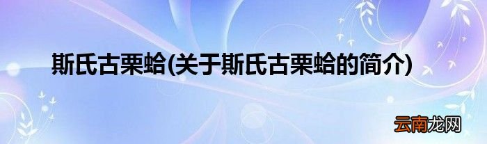 关于斯氏古栗蛤的简介 斯氏古栗蛤