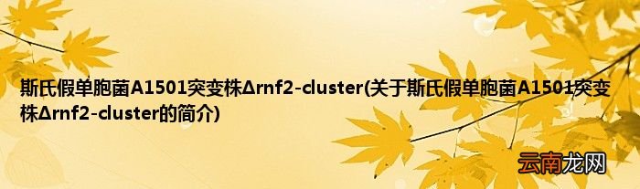 关于斯氏假单胞菌A1501突变株Δrnf2-cluster的简介 斯氏假单胞菌A1501突变株Δrnf2-cluster
