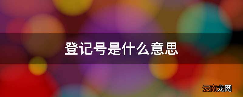 登记号是什么意思