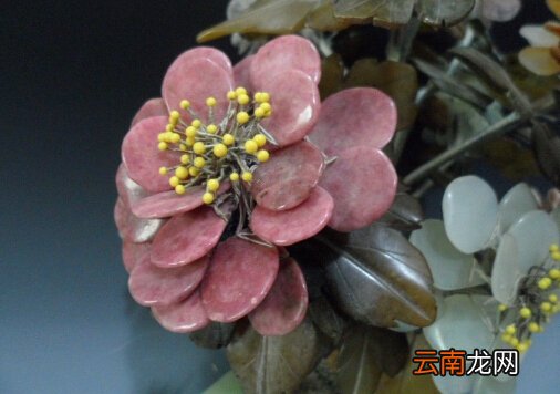 玉树花与家居风格的搭配-玉树花的风水学应用