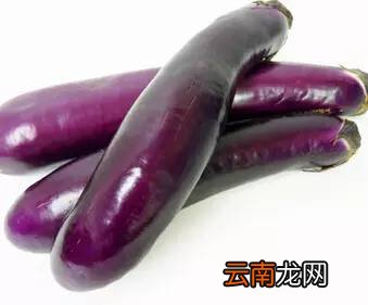 吃茄子的好处 它竟然能治疗七种疾病