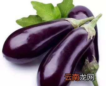 吃茄子的好处 它竟然能治疗七种疾病