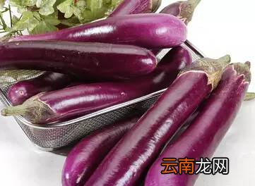 吃茄子的好处 它竟然能治疗七种疾病