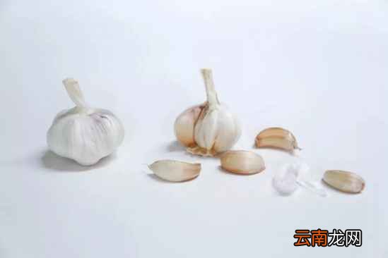 大蒜水的做法及功效 大蒜水止咳非常棒