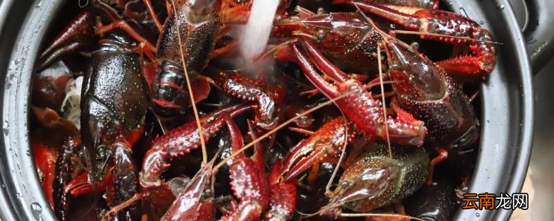 小龙虾12月到1月还有吗