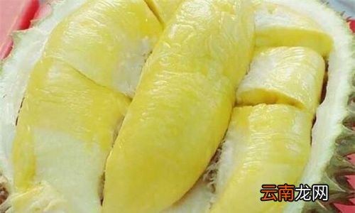 榴莲没吃完的要冷冻吗