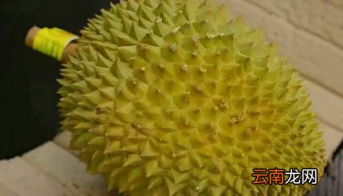 榴莲没吃完的要冷冻吗