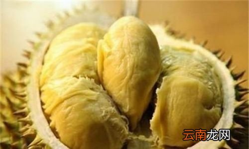 榴莲没吃完的要冷冻吗