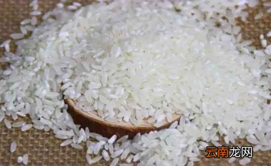 大米好不好吃是什么决定的 这4点影响味道
