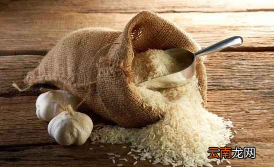 大米好不好吃是什么决定的 这4点影响味道