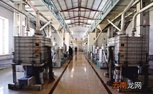 大米好不好吃是什么决定的 这4点影响味道