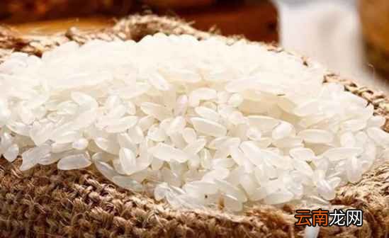 大米好不好吃是什么决定的 这4点影响味道